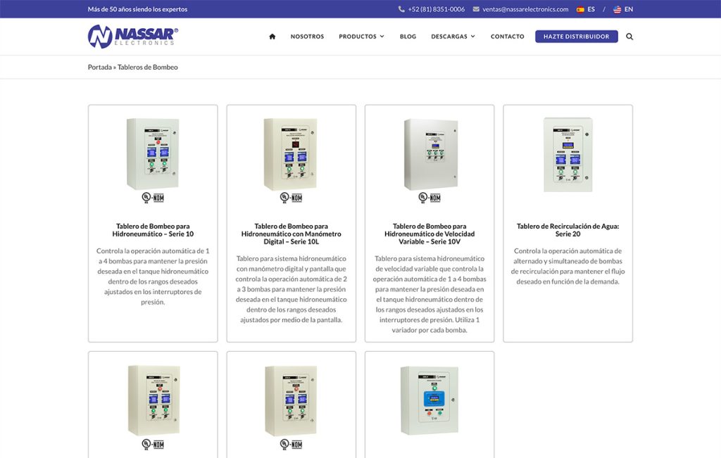 diseno Web profesional monterrey