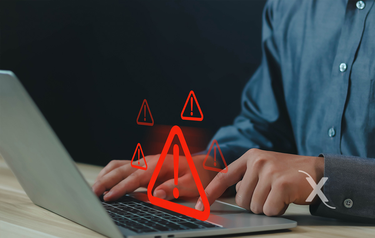 Bioxnet Branding and Web Design Studio | Tu Negocio y tu Marca Bajo Ataque