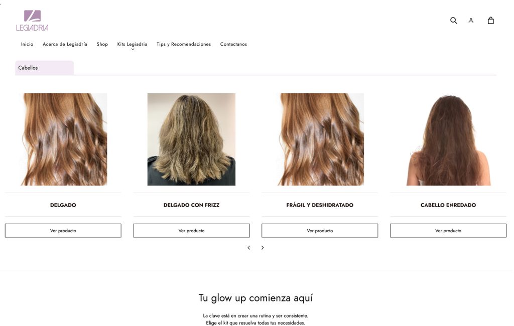 disenador web ecommerce en monterrey