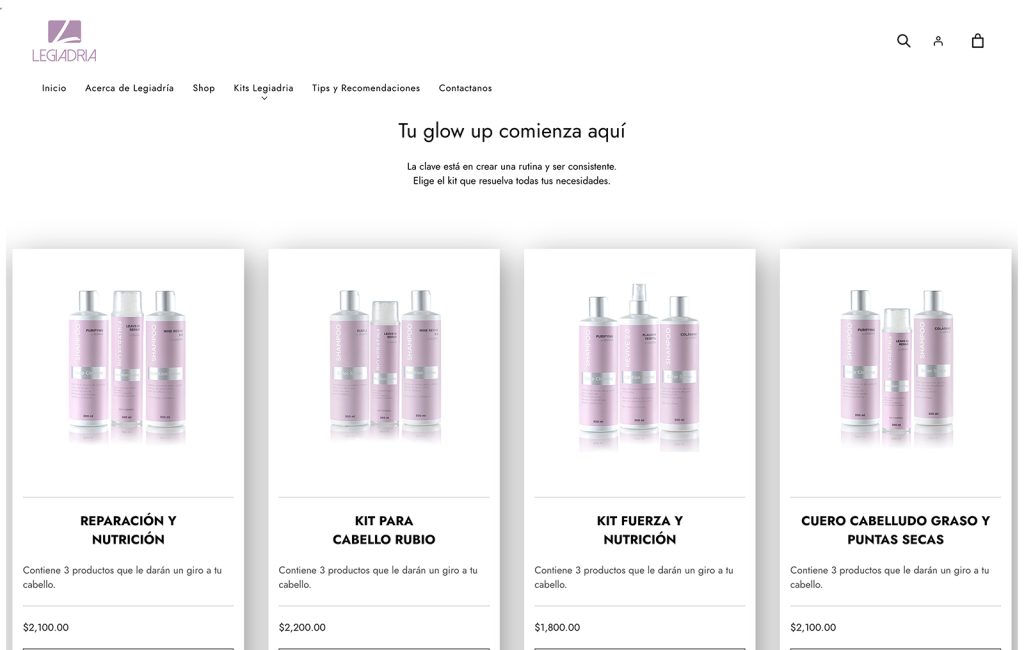disenador web ecommerce monterrey