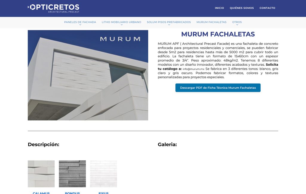 diseno de paginas web monterrey