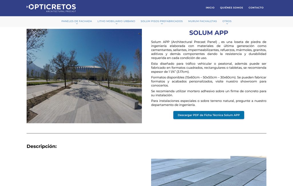 diseno de paginas web monterrey