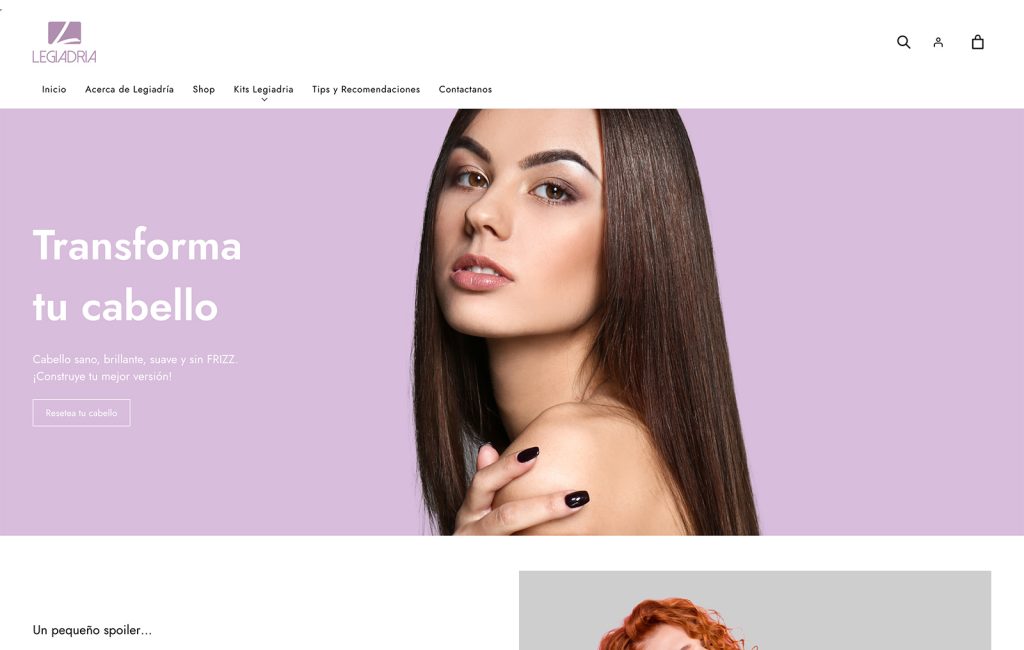 paginas web profesionales monterrey