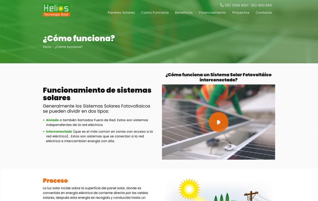 disenador de paginas web