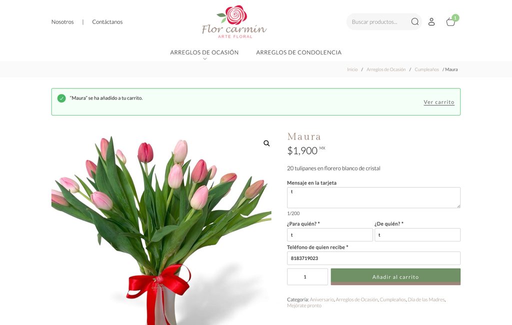 web design venta en linea