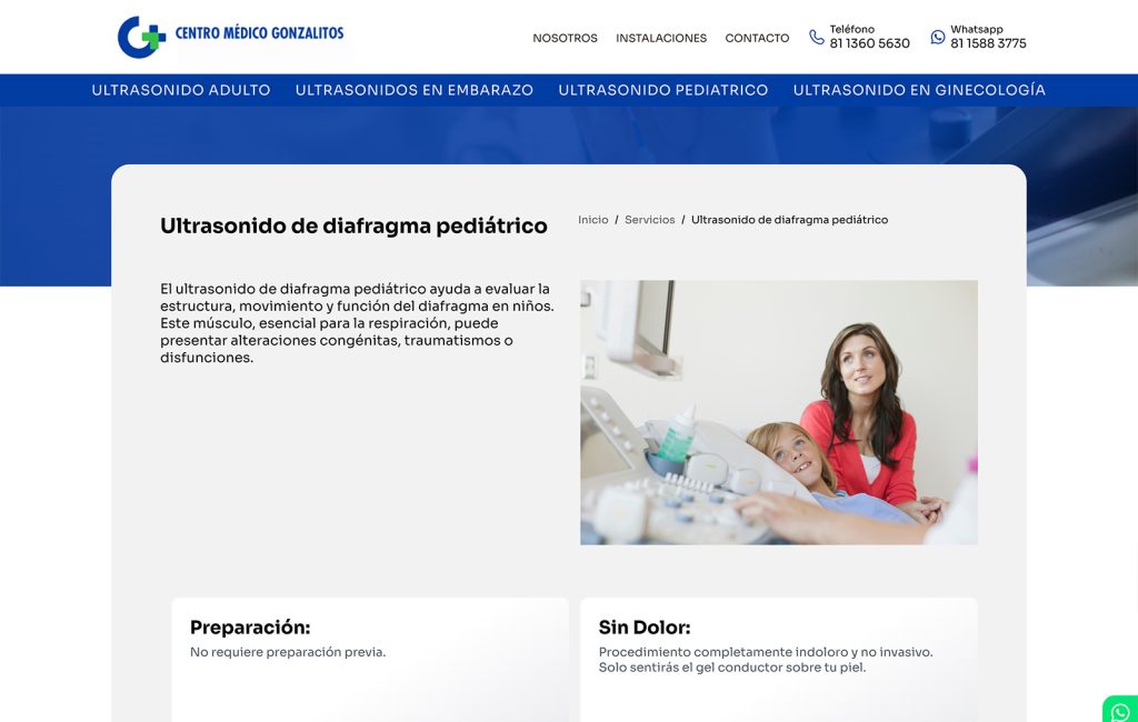 disenador De sitios web monterrey