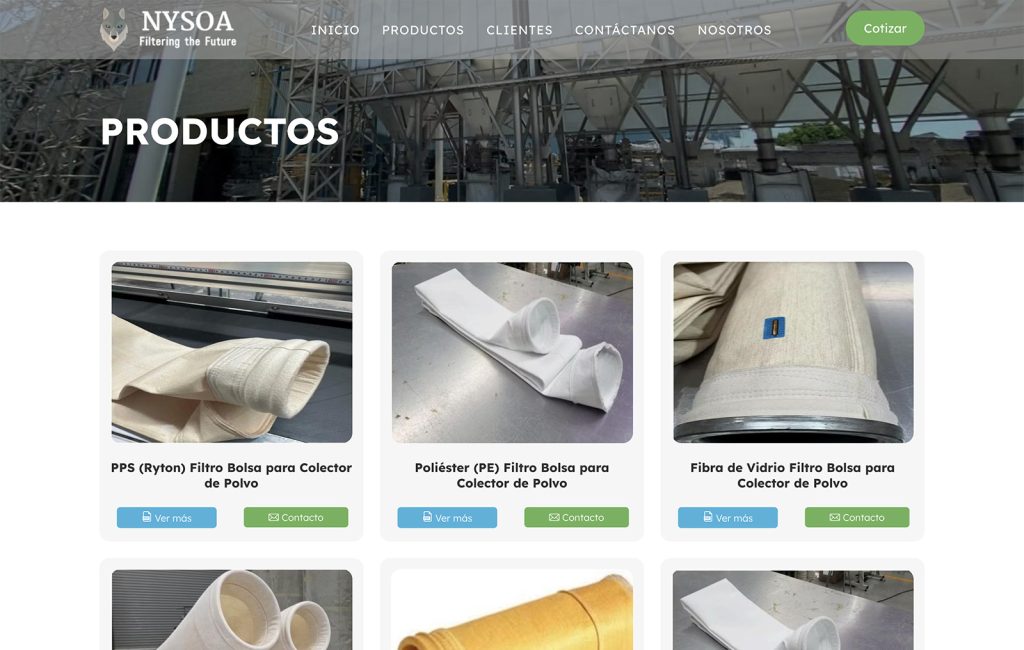 disenador web monterrey