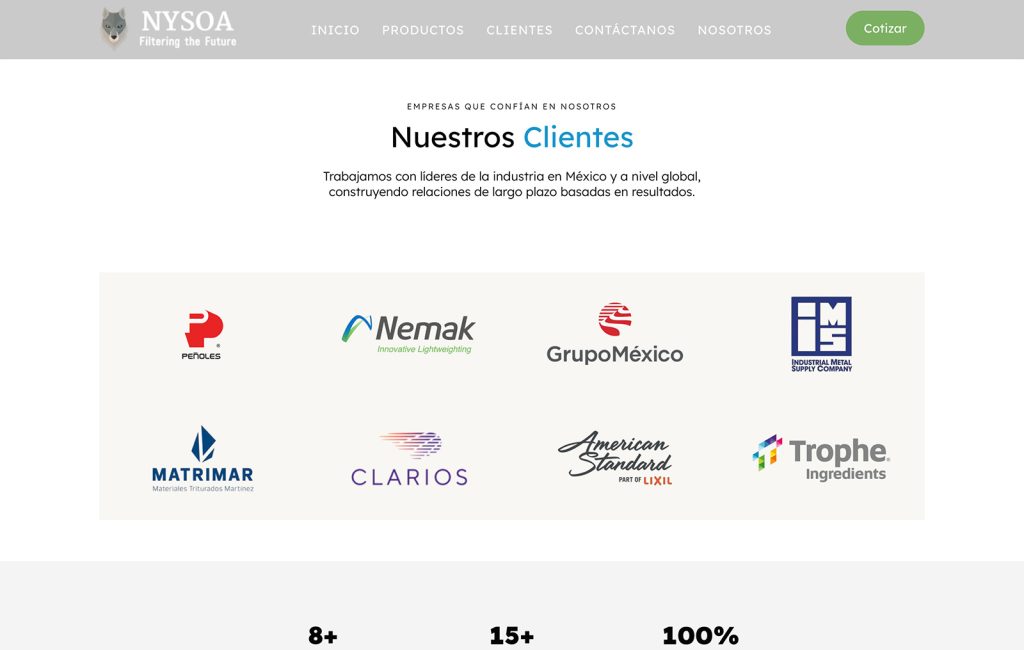 disenadores web monterrey