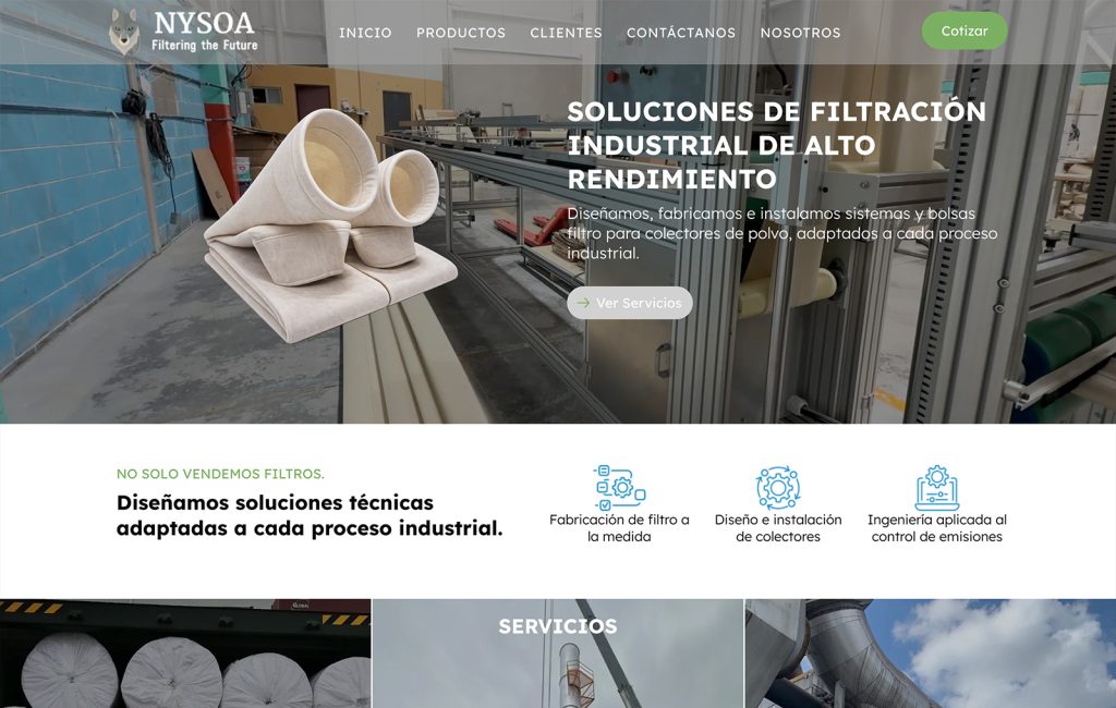 sitios web profesionales monterrey