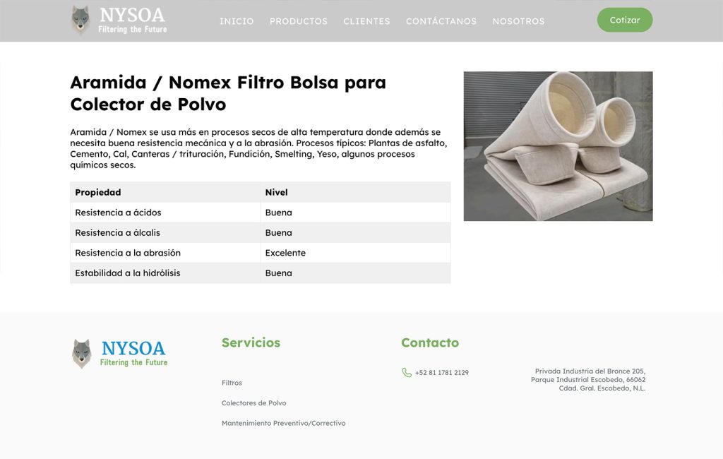 sitios web monterrey