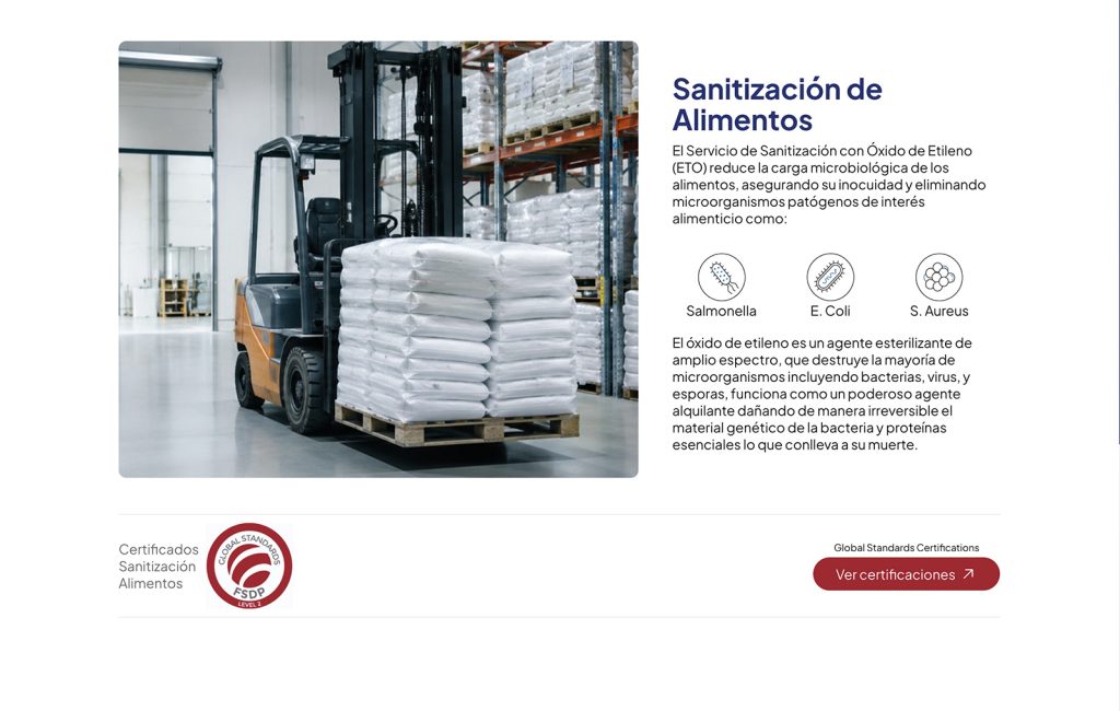 disenador De paginas web monterrey