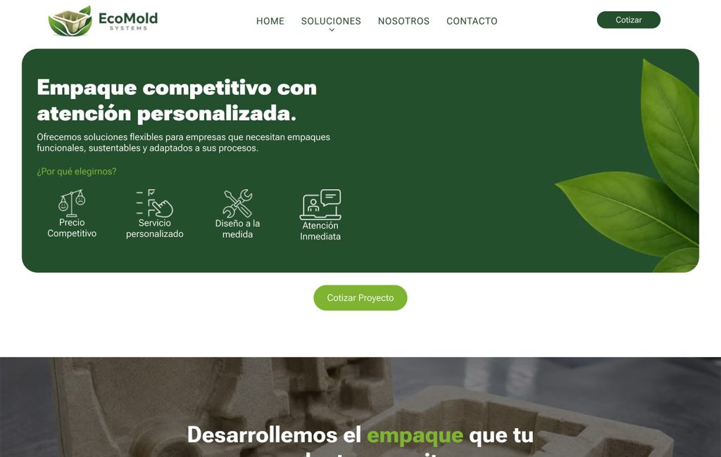 website design en monterrey
