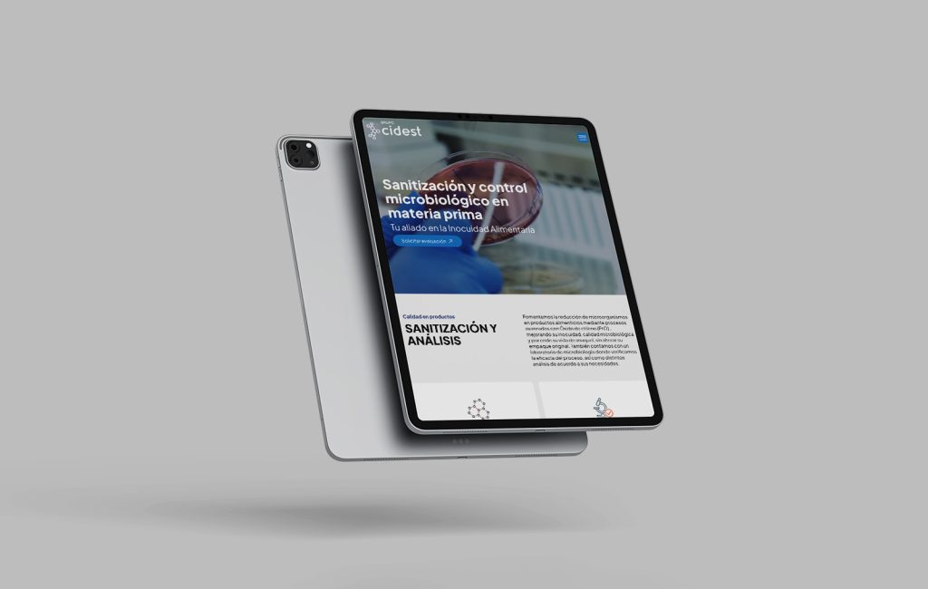 diseno profesional de sitios web