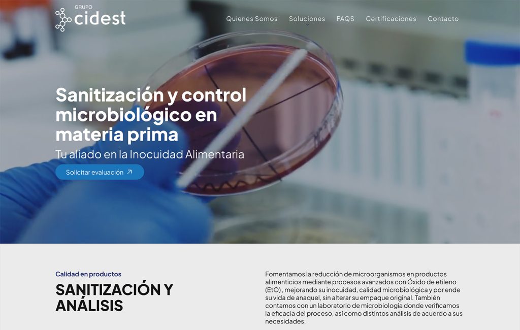 empresas De diseno Web monterrey