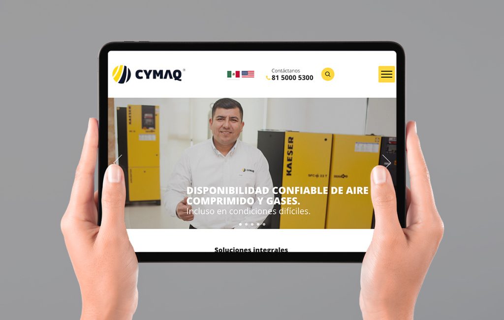 DISENO web profesional 1 1