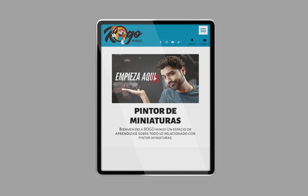 agencia De diseno web sanpedro 7