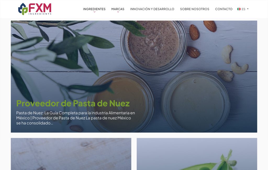 agencias de web design monterrey