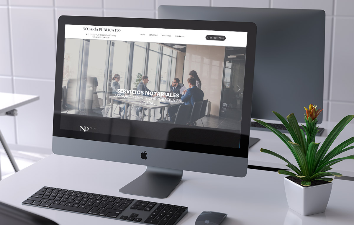 disenador De paginas Web monterrey 8