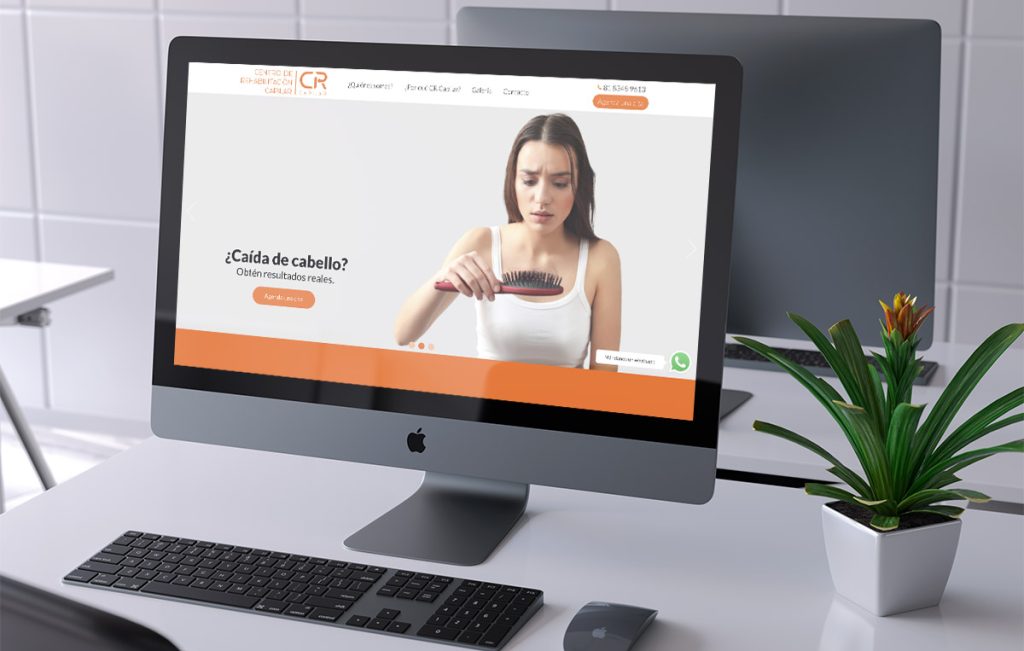 diseno De sitios de internet monterrey 8