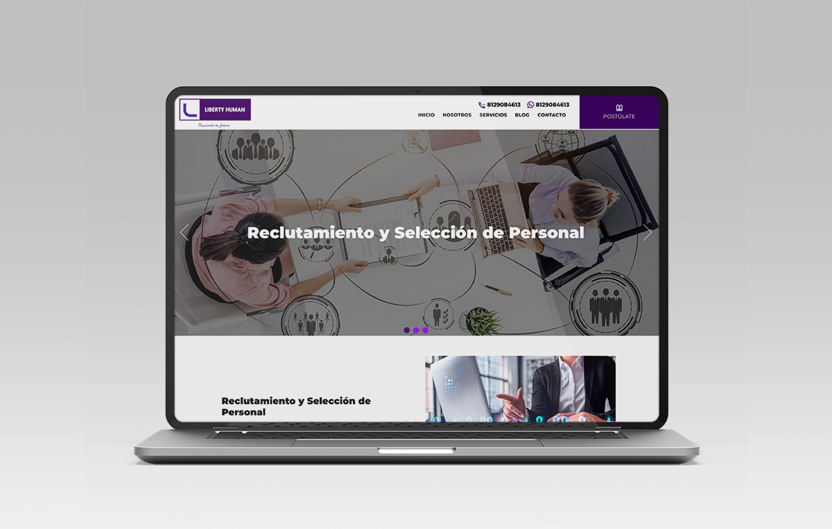 diseno Web profesional sanpedro 9
