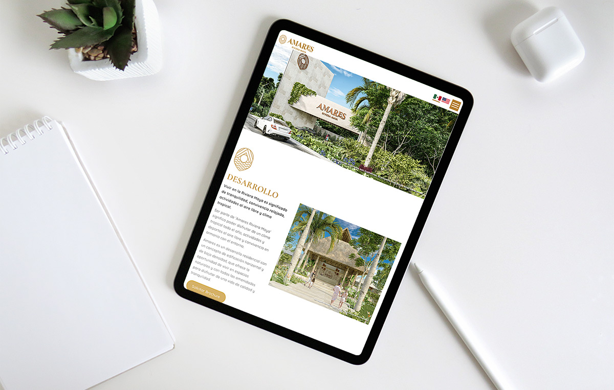 diseno de paginas Web monterrey 1