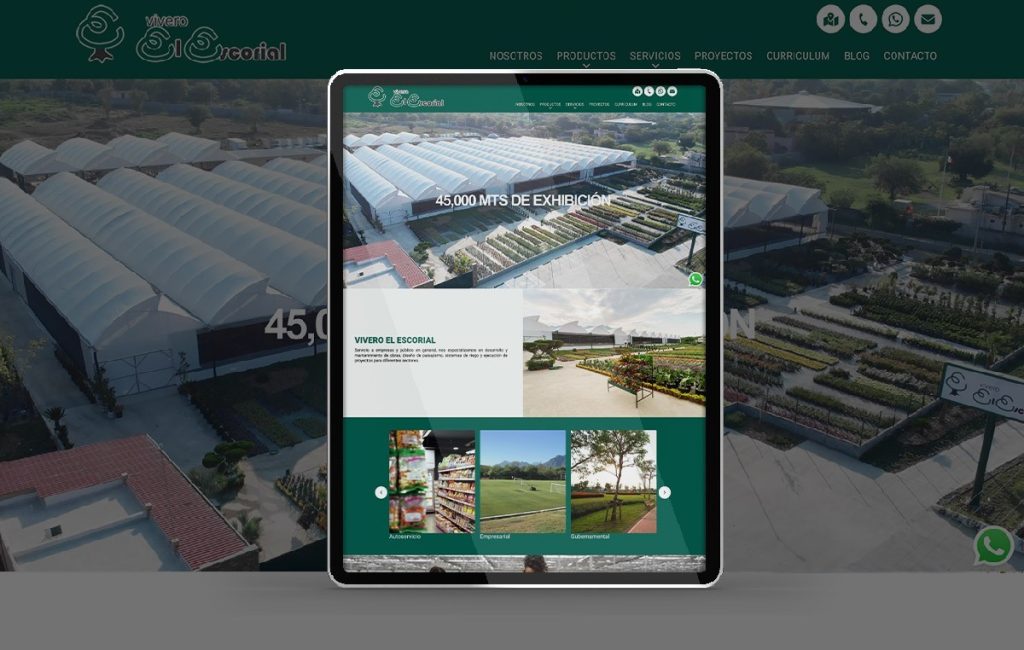 diseno de paginas web monterrey 8