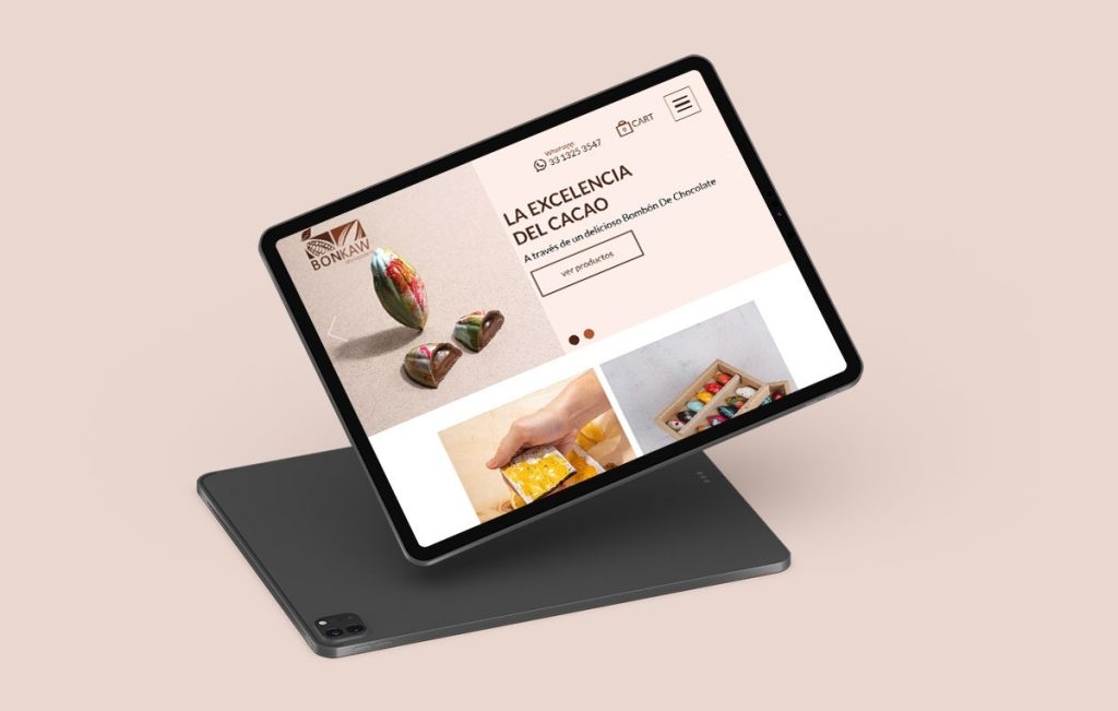 diseno de paginas web monterrey 9