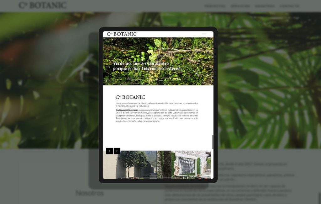 diseno de paginasweb monterrey 7