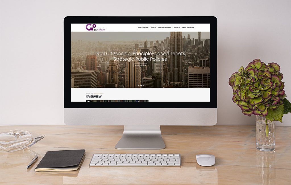 diseno de paginasweb monterrey 9