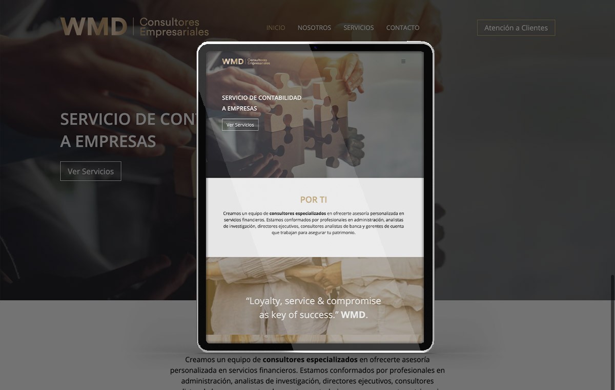 diseno de sitios web 7