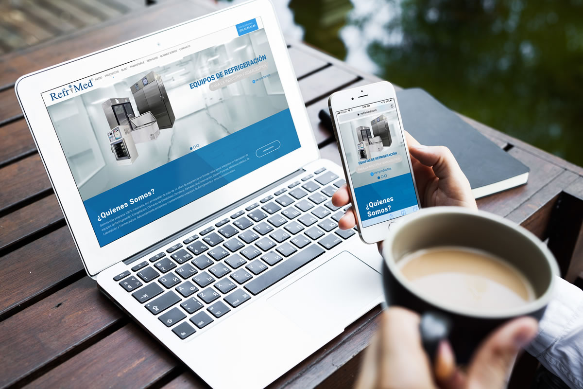 diseno de sitios web profesionales