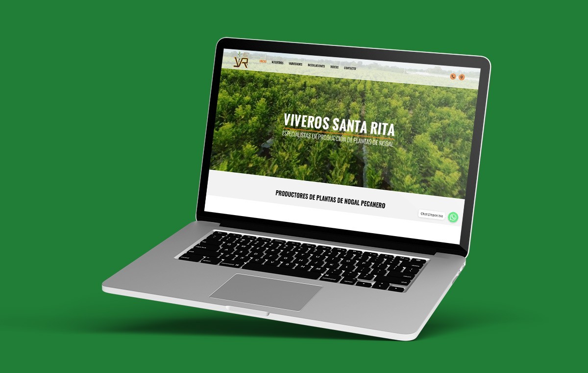 diseno de sitiosweb monterey 8