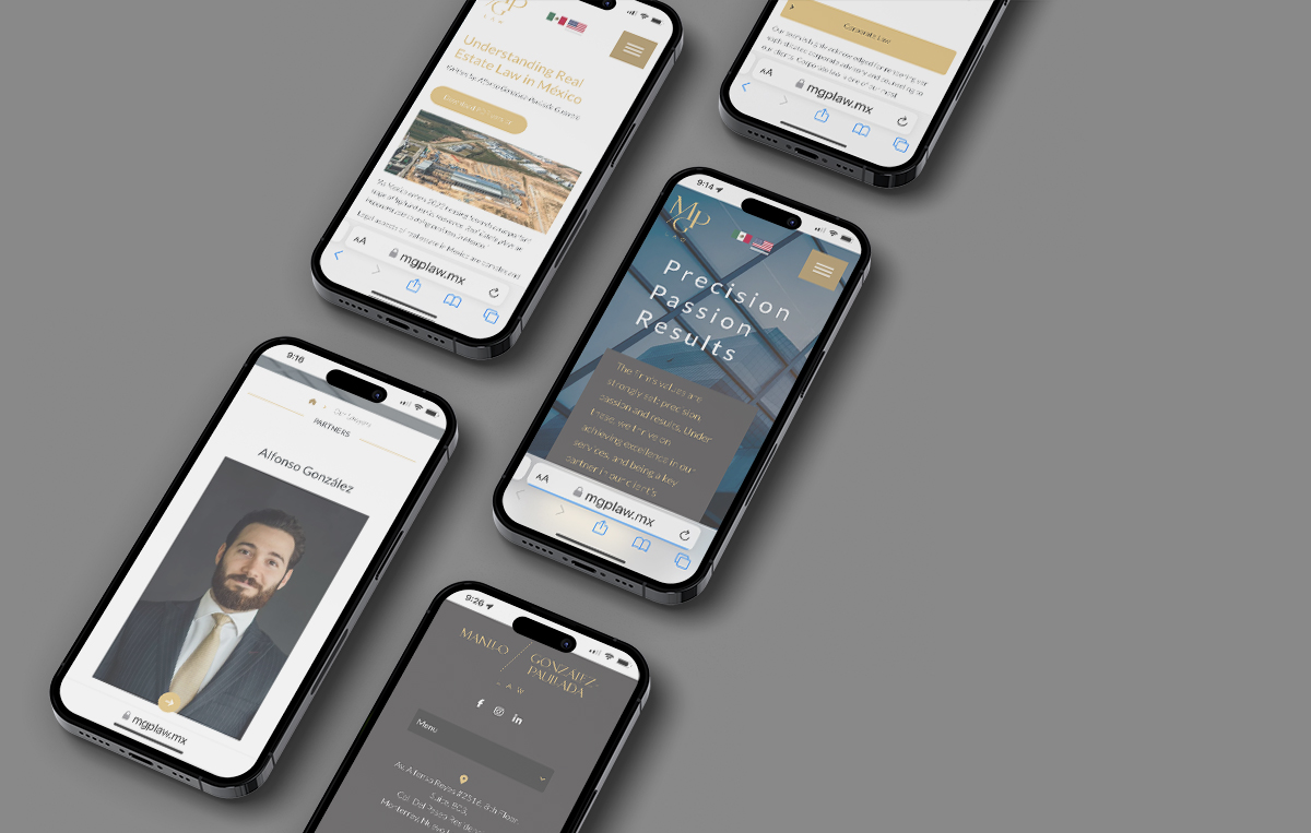 diseno paginas web monterrey 1