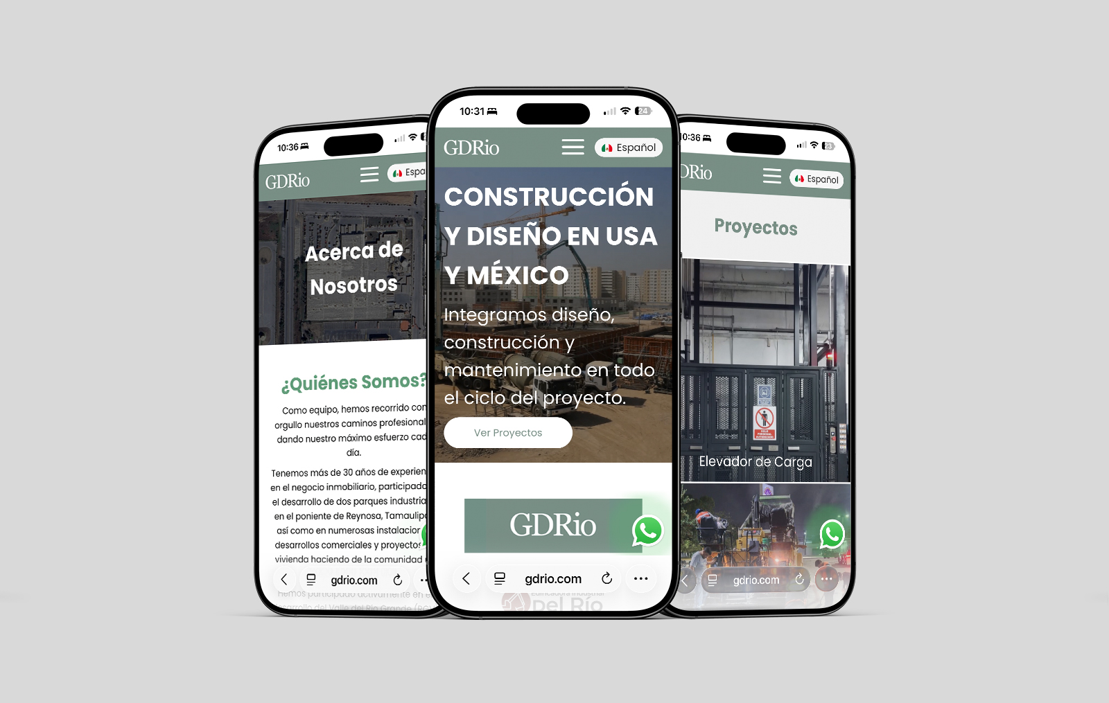 diseno web en monterrey 01
