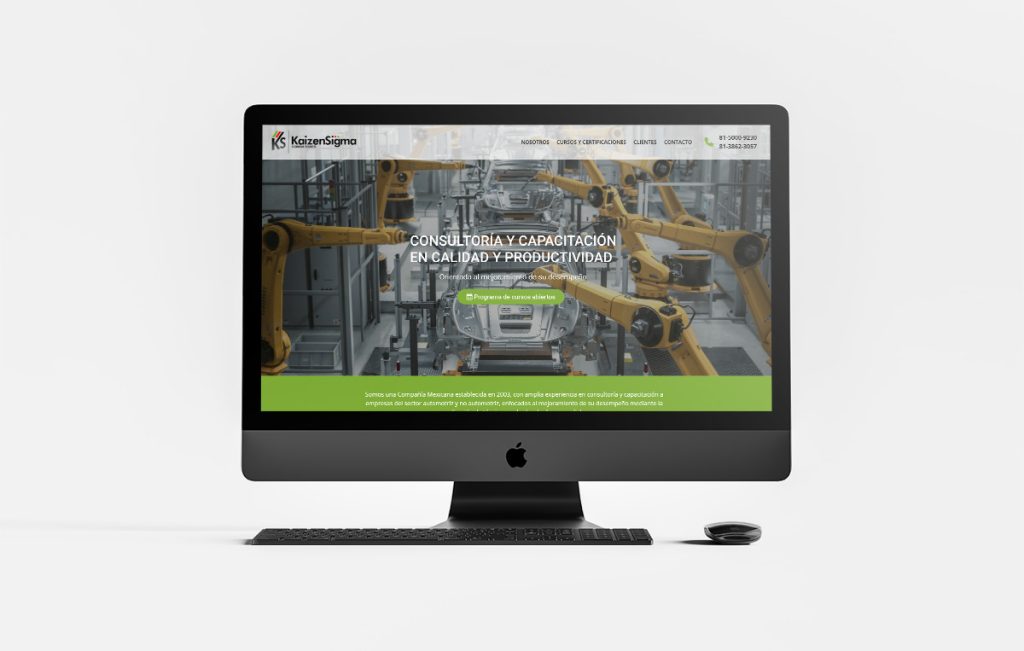 diseno web en monterrey 11