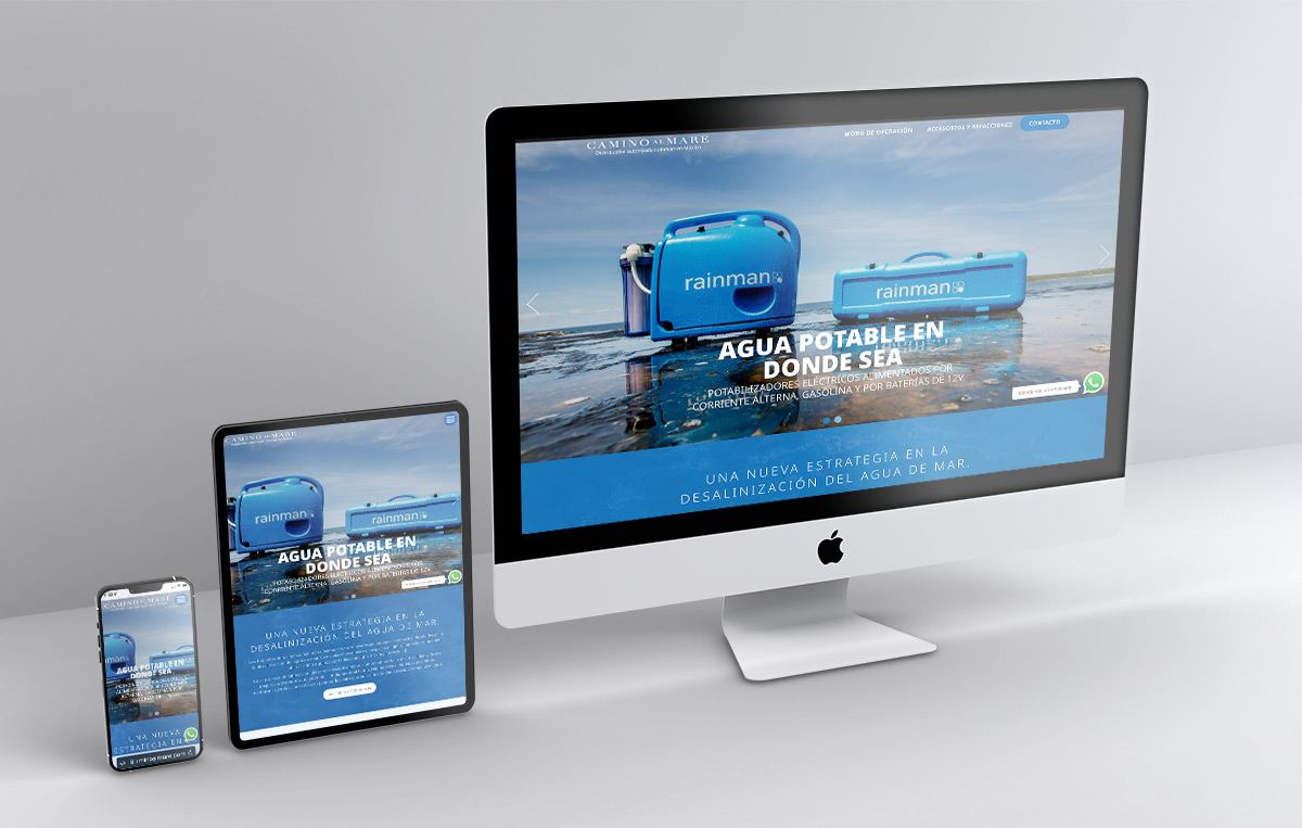 diseno web en san pedro 8