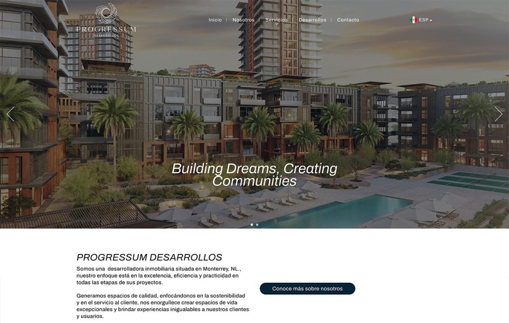 diseno web monterrey 02
