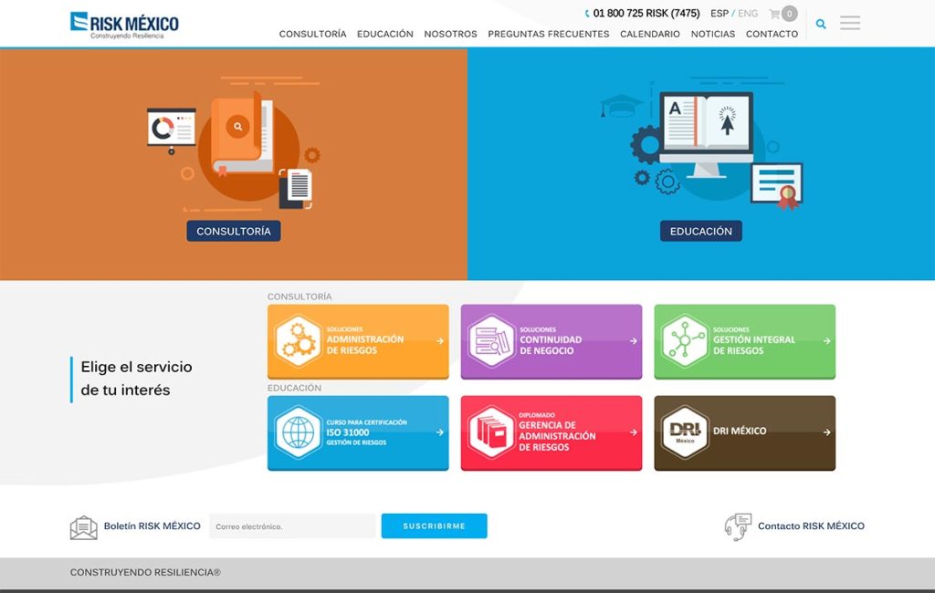 diseno web profesional 1