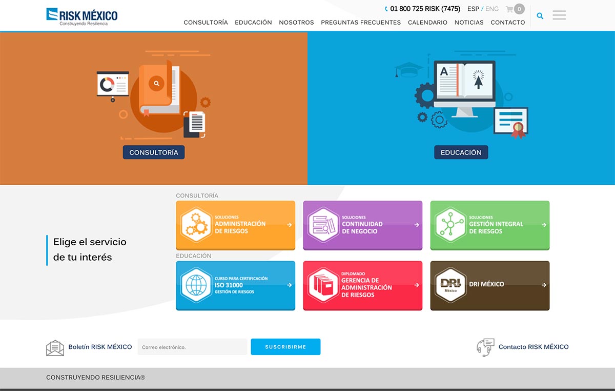 diseno web profesional 1