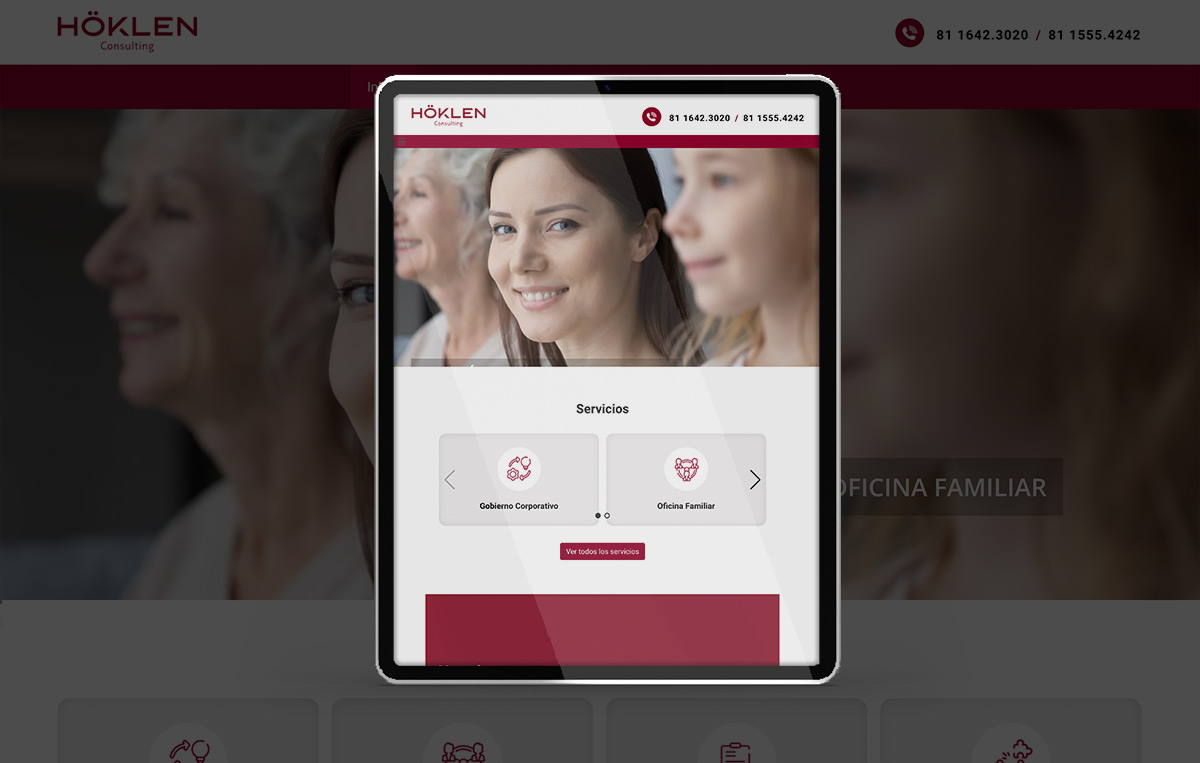 diseno web profesional en monterrey 7