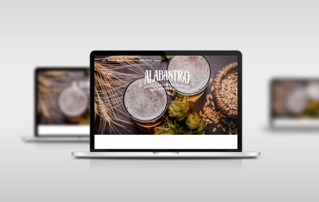 diseno web profesional monterrey 8 2