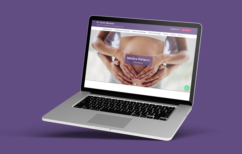 diseno web profesional monterrey 8 3