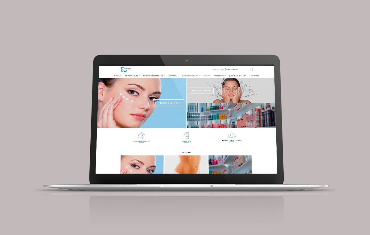 diseno web profesional monterrey 9