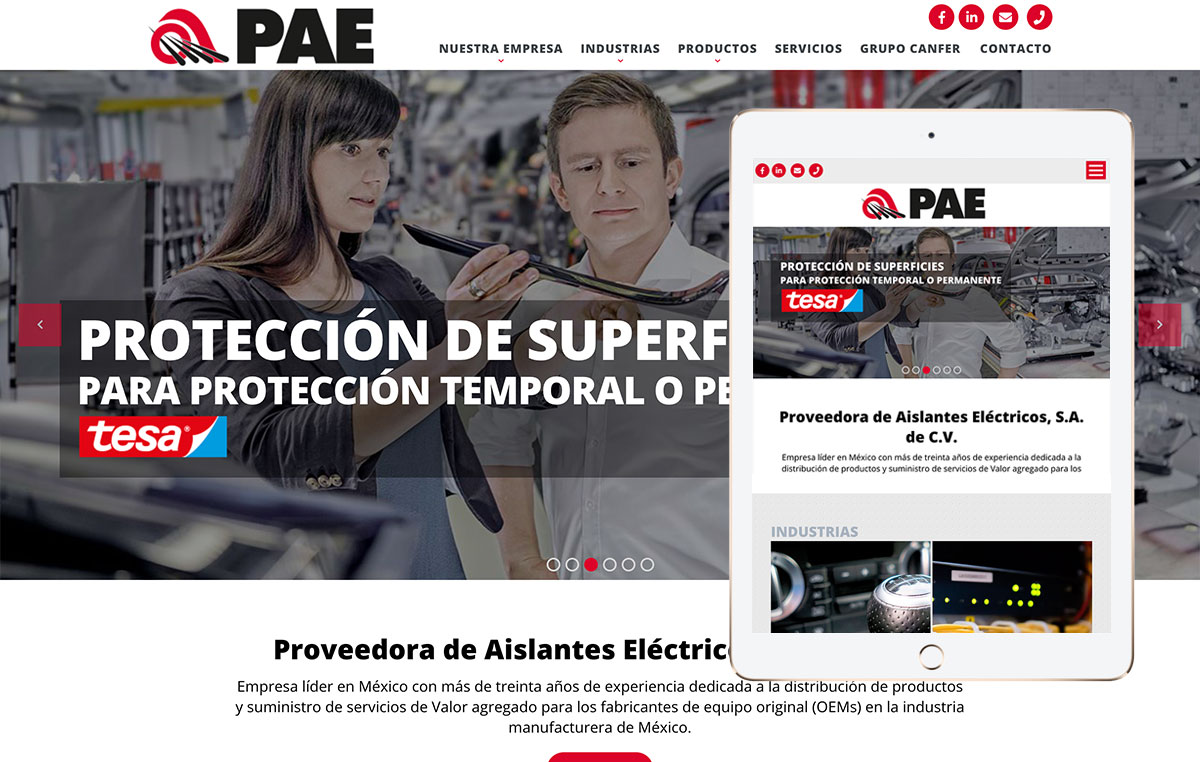 PAE 1 disenoweb en monterrey 7