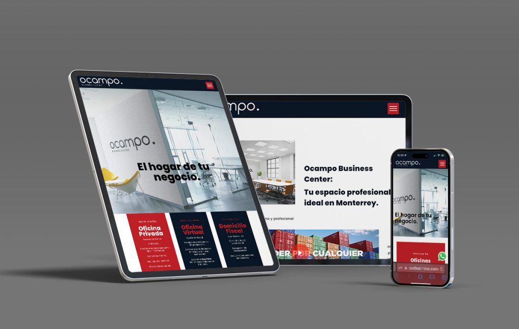 disenoweb paginas monterrey