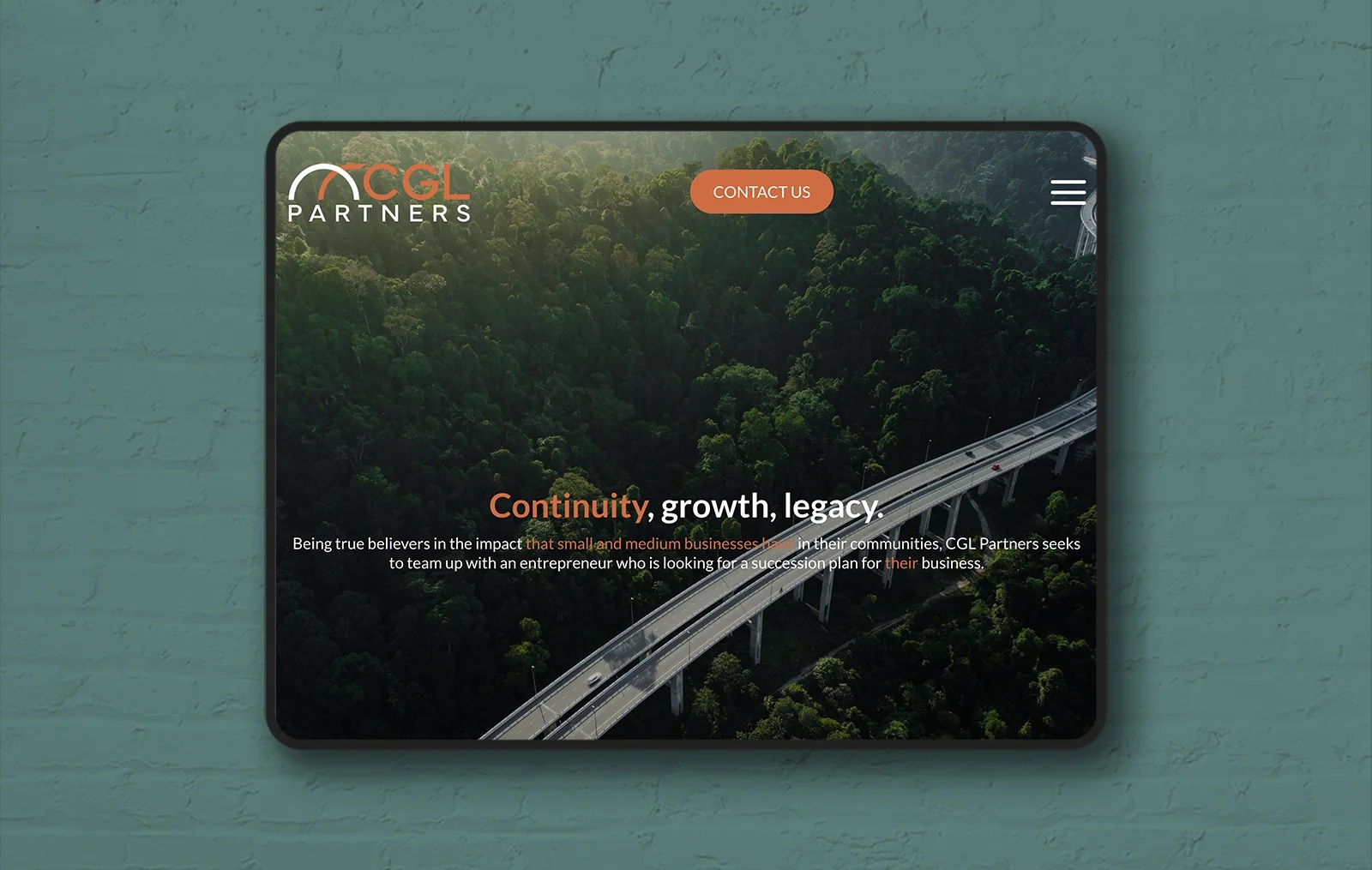 disenoweb profesional 07