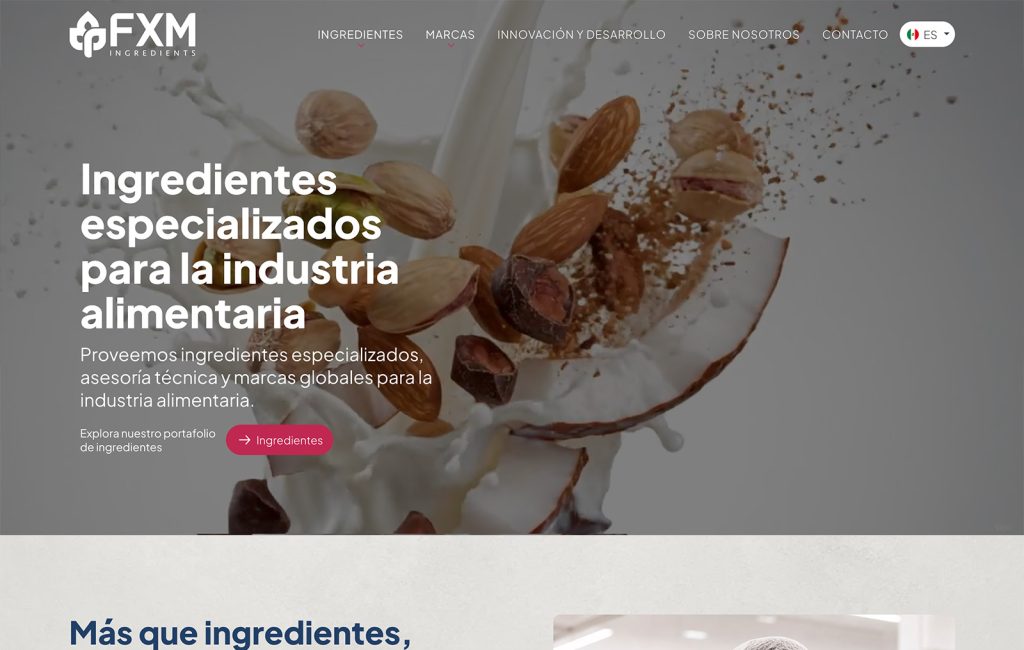 empresas de web design monterrey