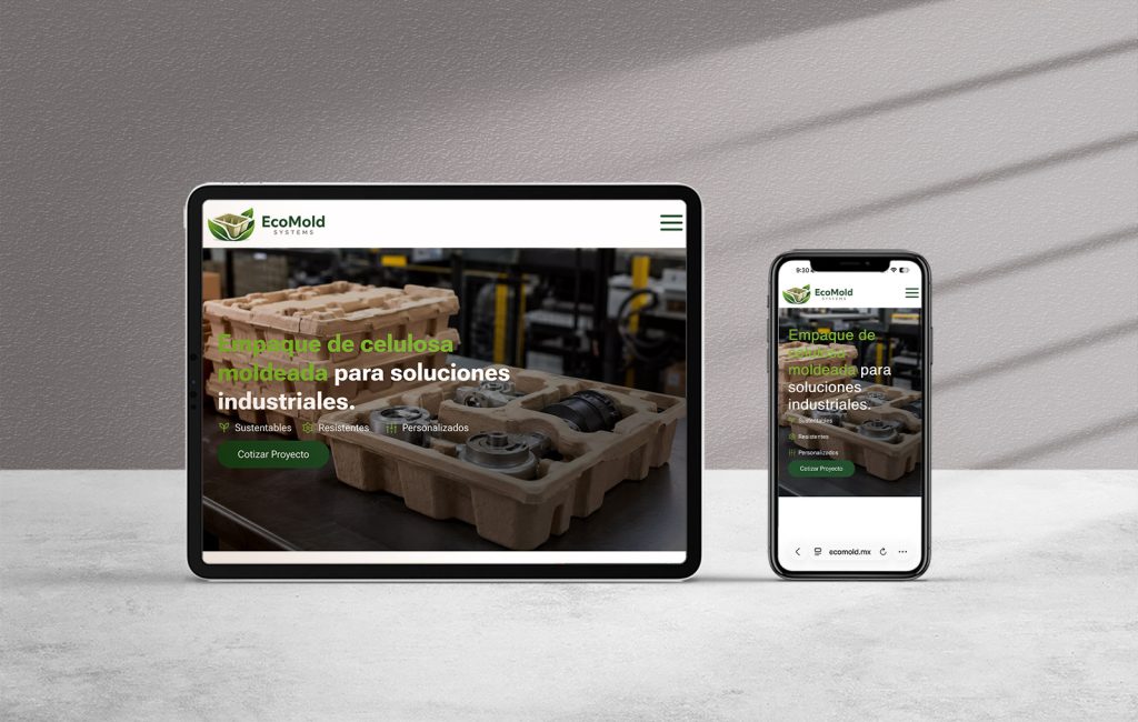 empresas de diseno web profesional en monterrey