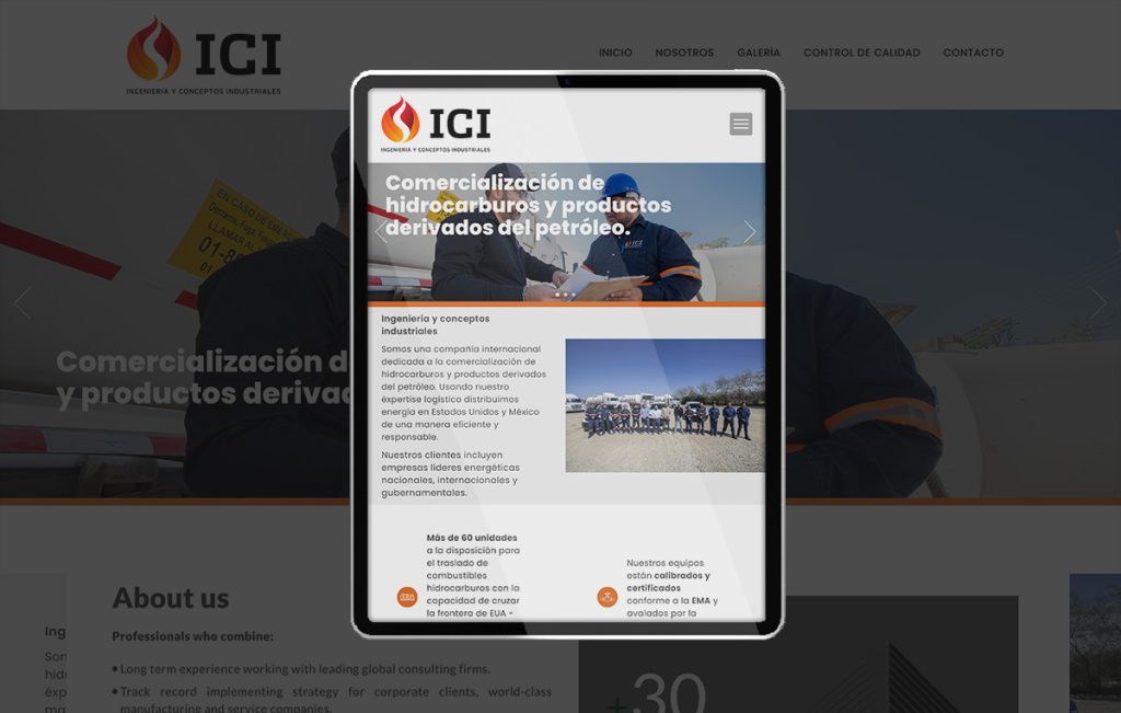 paginas web en monterrey 07
