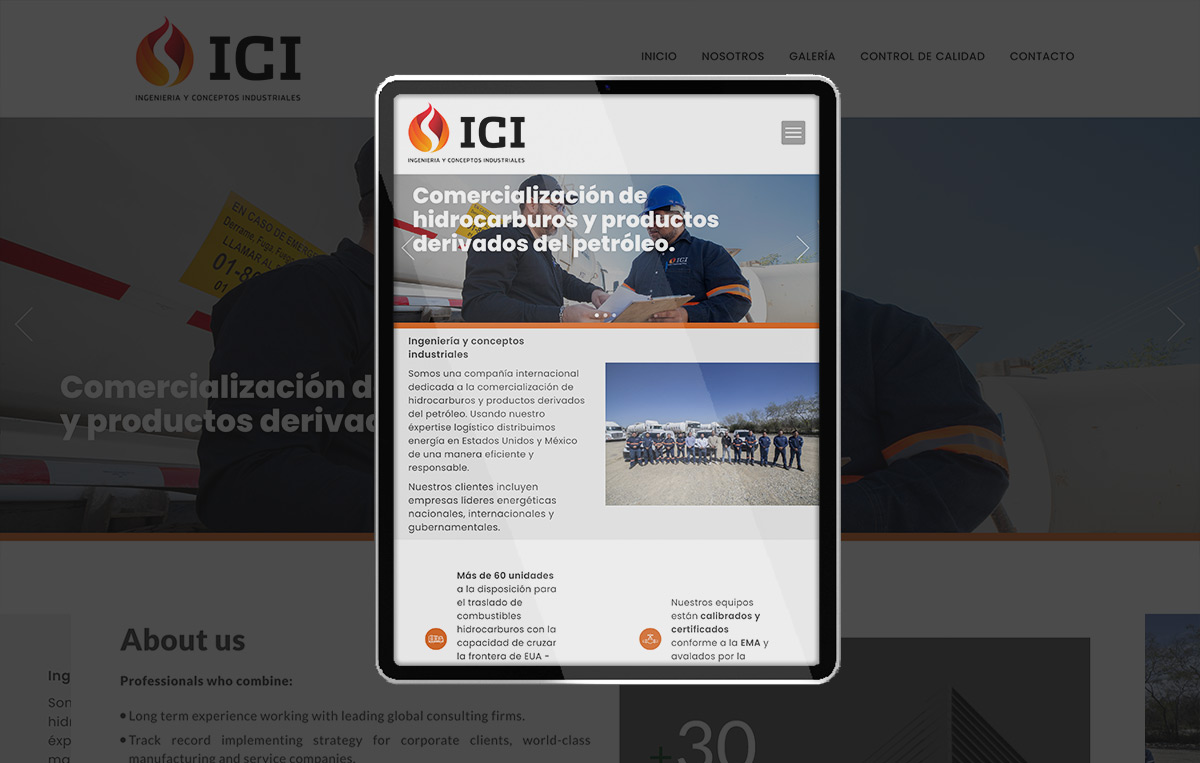 ICIMEX 1 paginas web en monterrey 07